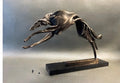 "Hound" by Aleksander Litvinov